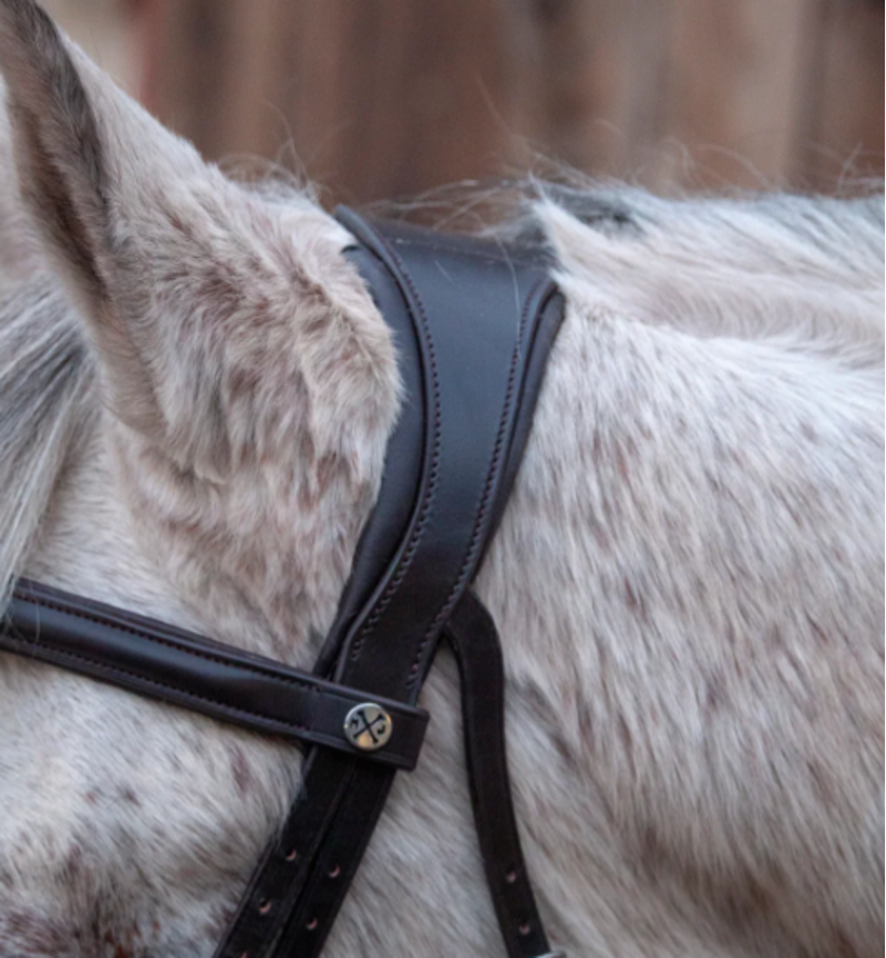 Henry James Saddlery Comfort 3D Air Headpiece - Black