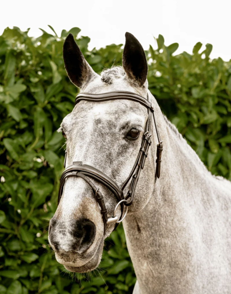 Henry James Saddlery Comfort Flash Bridle - Brown-1