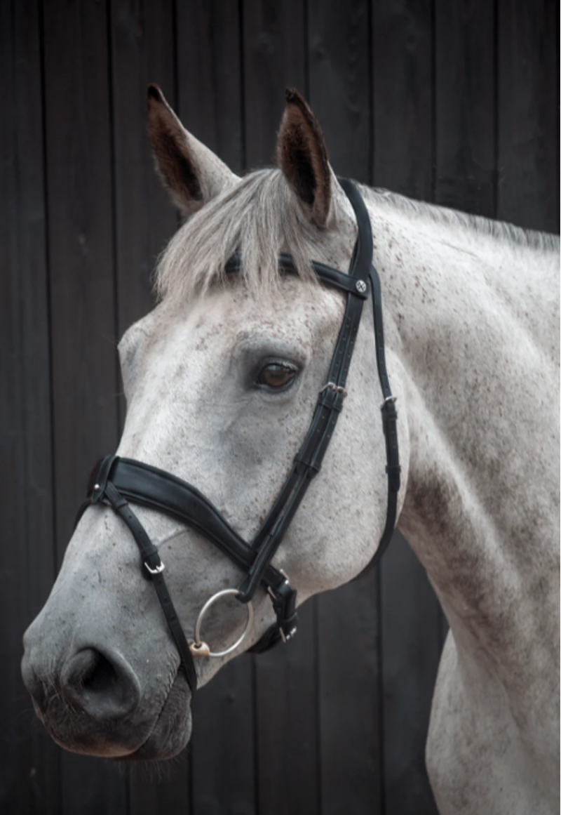 Henry James Saddlery Dressage Bridle - Black