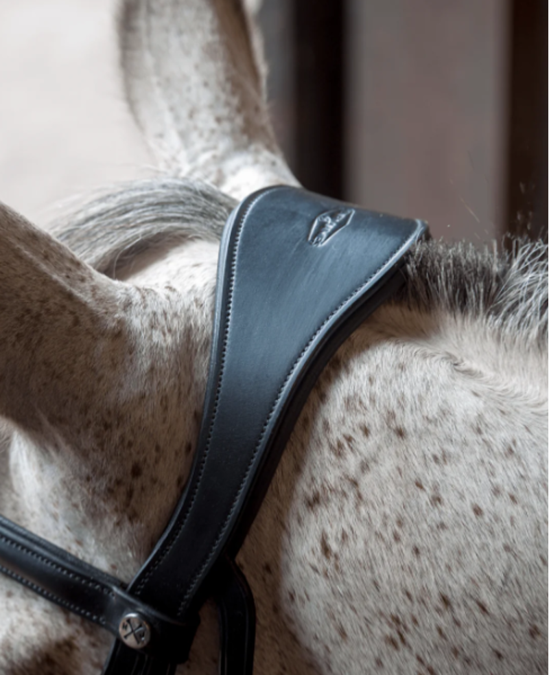 Henry James Saddlery Dressage Bridle - Black-1