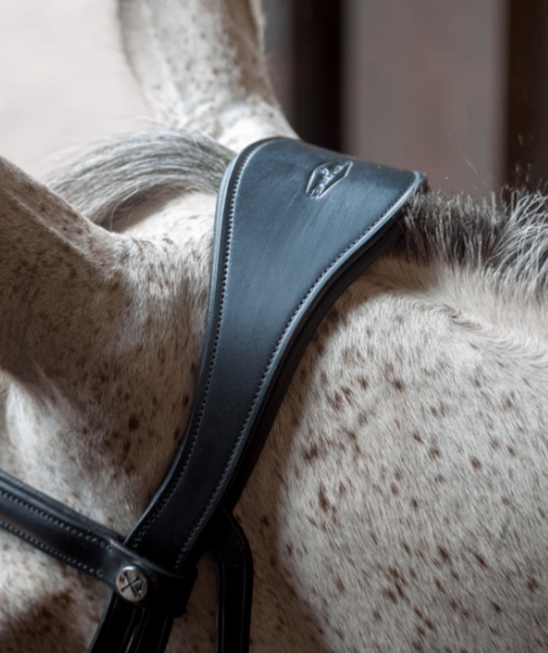 Henry James Saddlery Grackle Bridle - Black-2