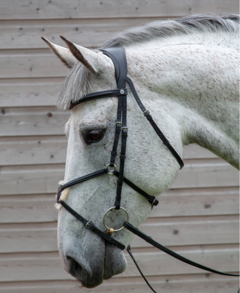 Henry James Saddlery Mexican Grackle Bridle - Black-2