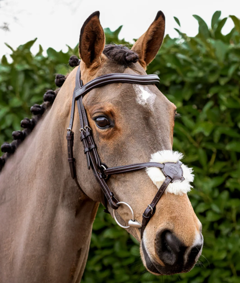Henry James Saddlery Mexican Grackle Bridle - Brown-1