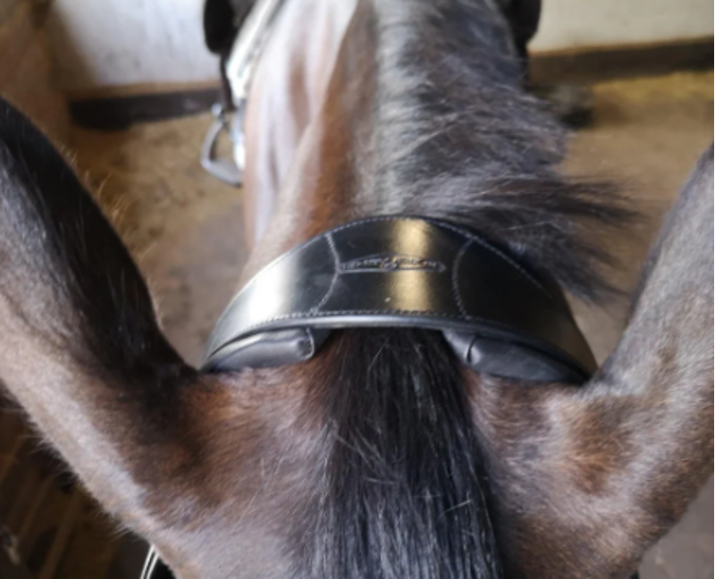 Henry James Saddlery Comfort 3D Air Headpiece - Brown-1