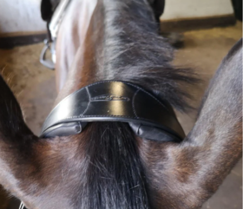 Henry James Saddlery Comfort 4D Air Headpiece 2 Strap - Brown-1