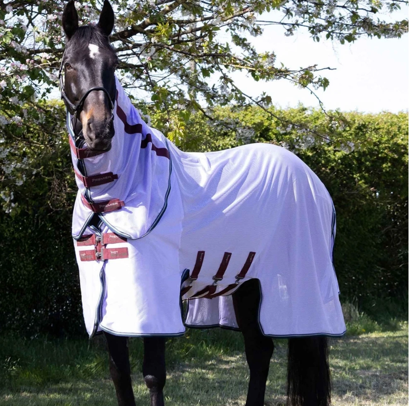 Premier Equine Combo Bug Buster Fly Rug With Belly Flap - Lavender