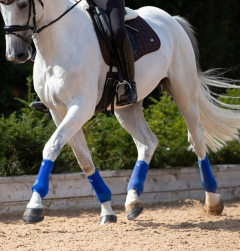 Premier Equine Air-Tech Sports Medicine Boots - Royal Blue-1
