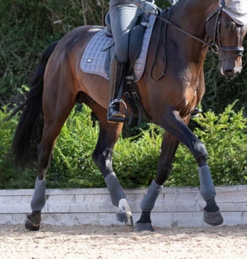 Premier Equine Air-Tech Sports Medicine Boots - Grey-1