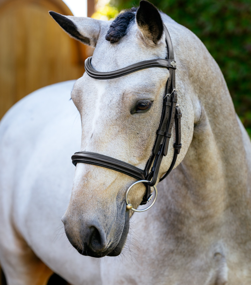 LeMieux Arika Cavesson Bridle - Brown/Silver