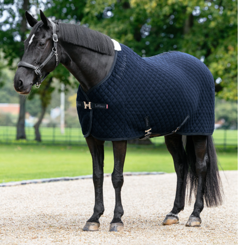 LeMieux Arika Clima-Tek Rug - Navy