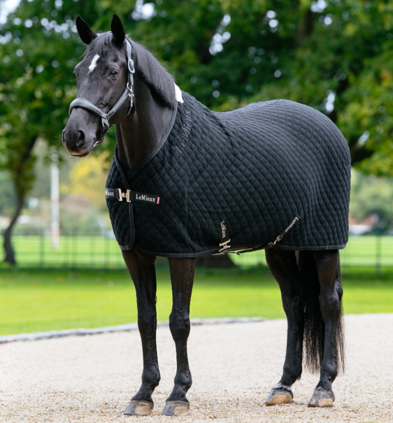 LeMieux Arika Clima-Tek Rug - Black