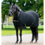 LeMieux Arika Clima-Tek Rug - Black