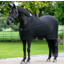 LeMieux Arika Jersey-Tek Fleece Rug - Black