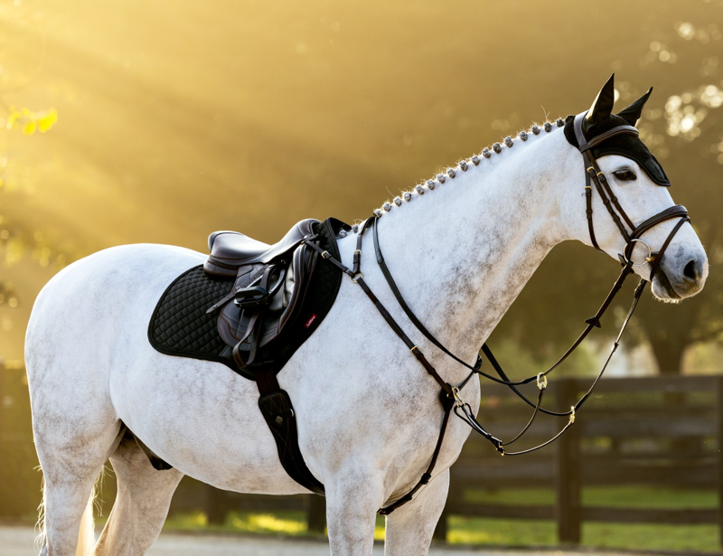 LeMieux Brilliance Close Contact Square Saddlepad - Black-1