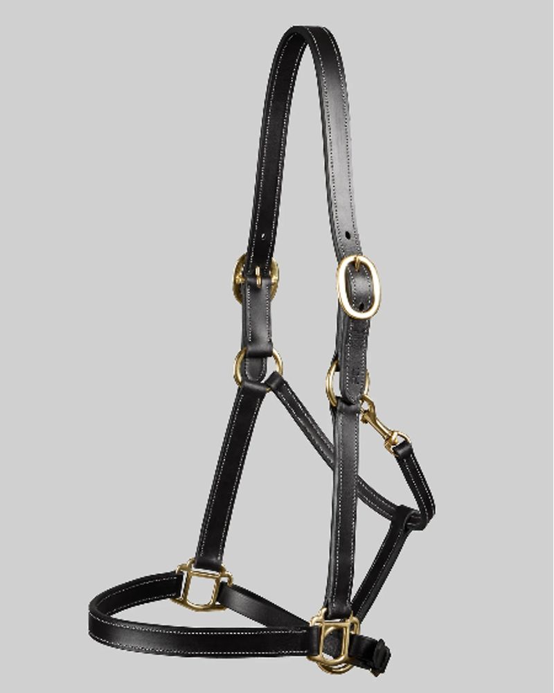 Premier Equine Traditional Leather Headcollar - Black