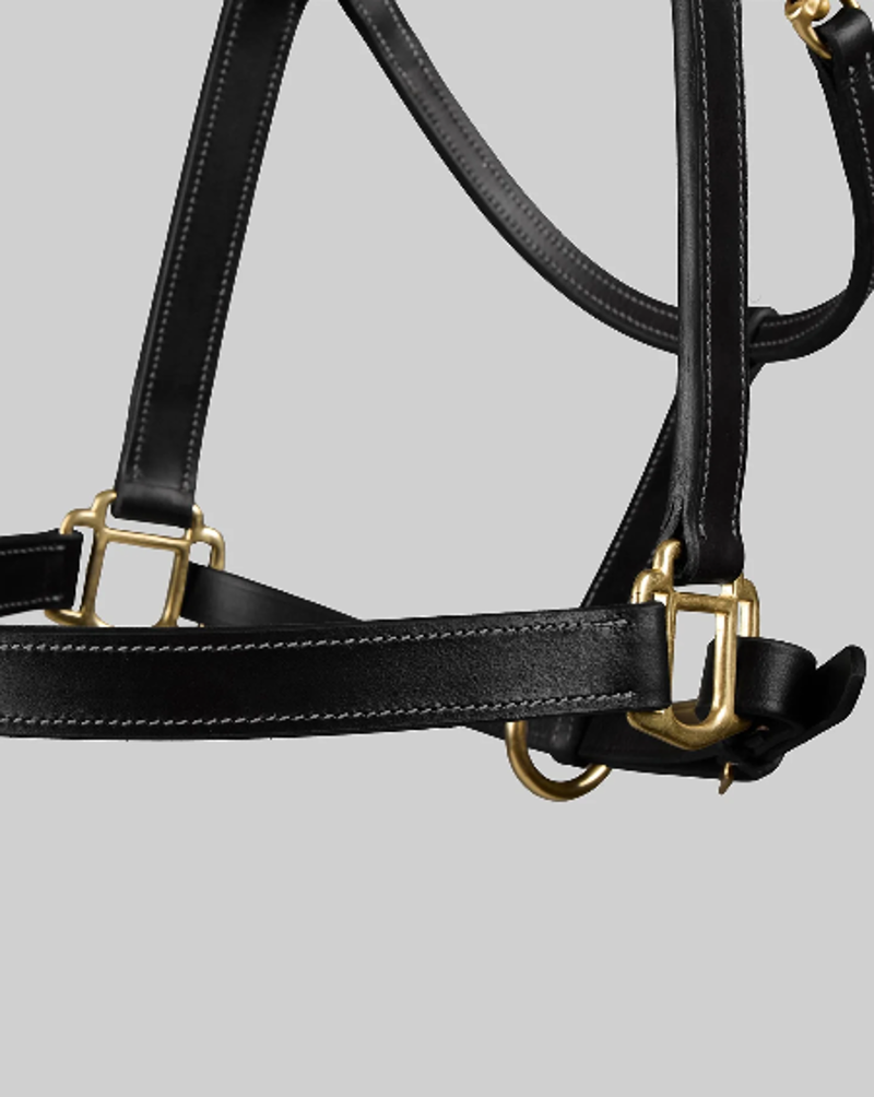 Premier Equine Traditional Leather Headcollar - Black-1