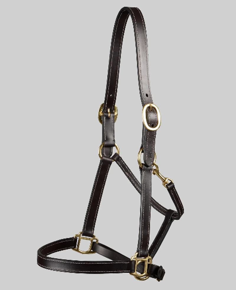 Premier Equine Traditional Leather Headcollar - Havana
