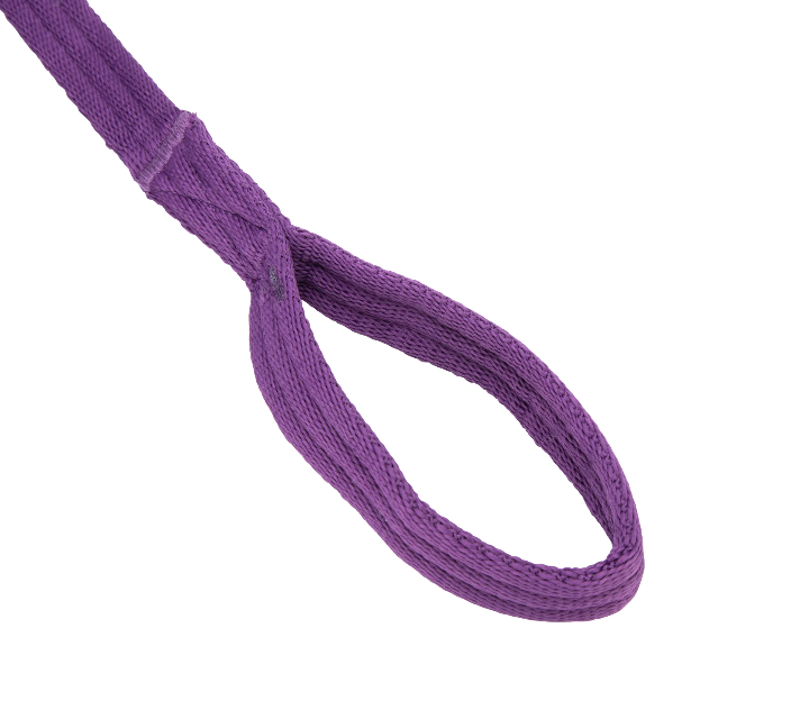 Shires ARMA Cushion Web Lunge Line - Plum-2