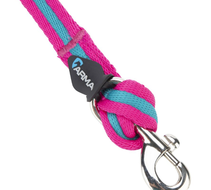 Shires ARMA Cushion Web Lunge Line - Magenta/Dark Cyan -2