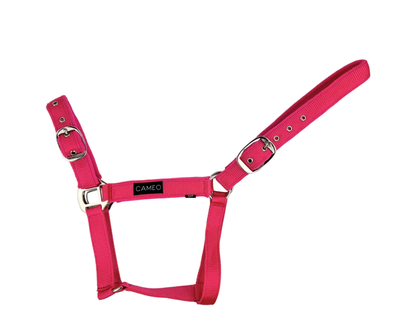 Cameo Suede Padded Headcollar - Pink