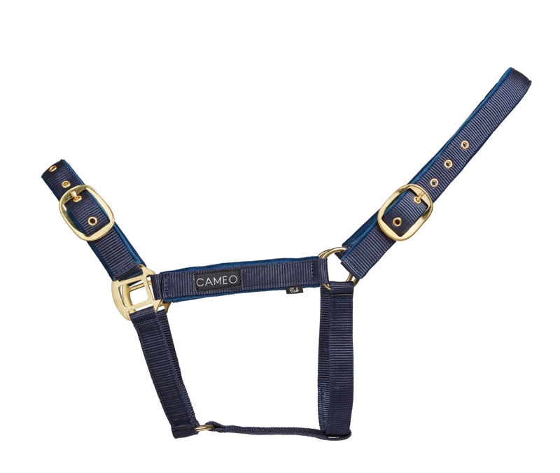 Cameo Suede Padded Headcollar - Navy