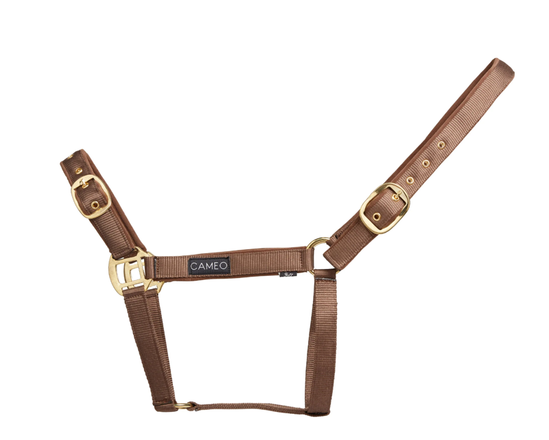 Cameo Suede Padded Headcollar - Mocha