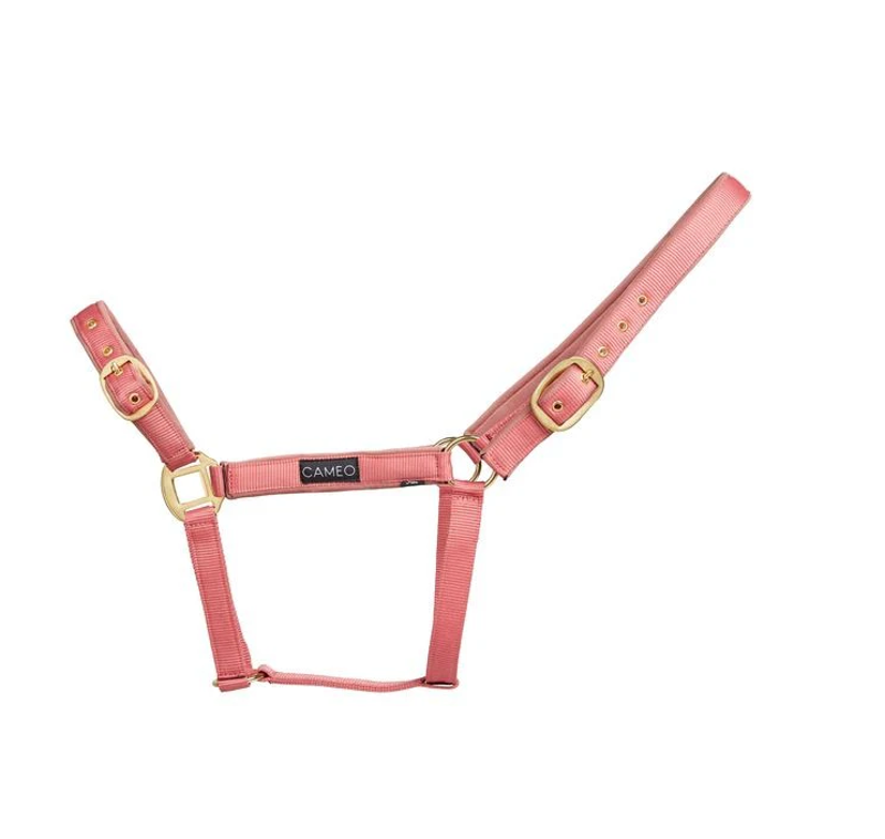 Cameo Suede Padded Headcollar - Dusky Pink