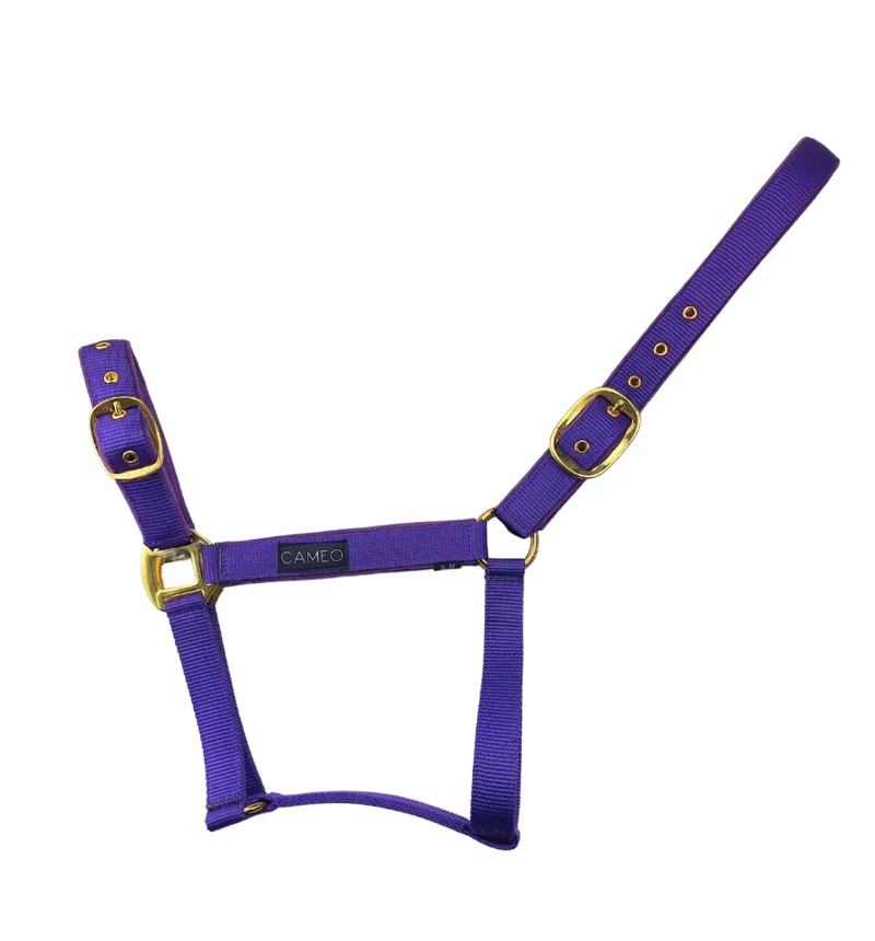 Cameo Suede Padded Headcollar - Deep Purple