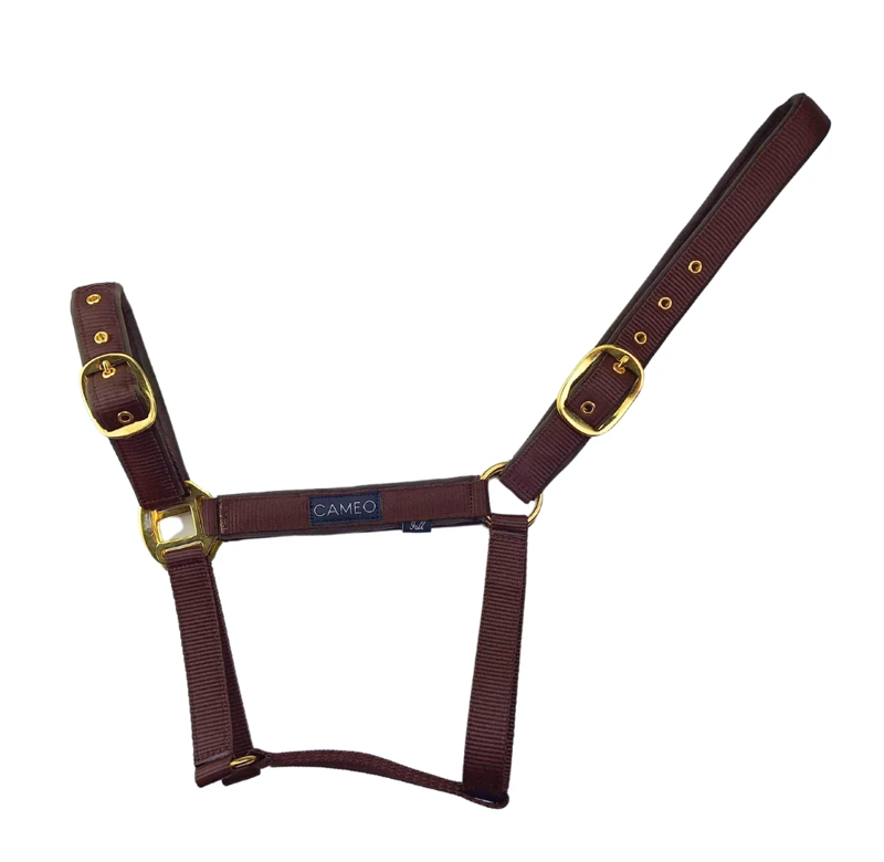 Cameo Suede Padded Headcollar - Chocolate Brown