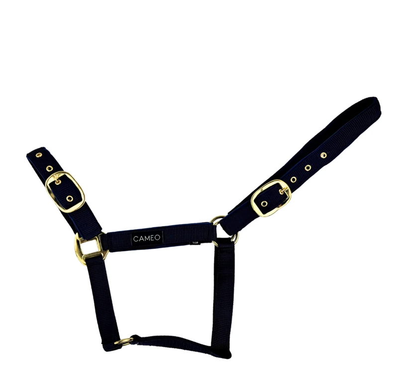 Cameo Suede Padded Headcollar - Black