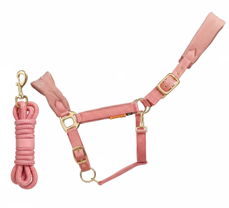 Cameo Suede Elite Headcollar and Leadrope - Dusky Pink