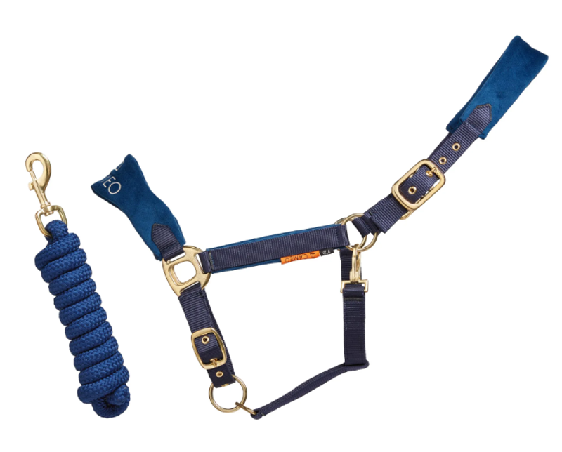 Cameo Suede Elite Headcollar and Leadrope - Navy