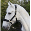 Cameo Suede Elite Headcollar and Leadrope - Black /Gold