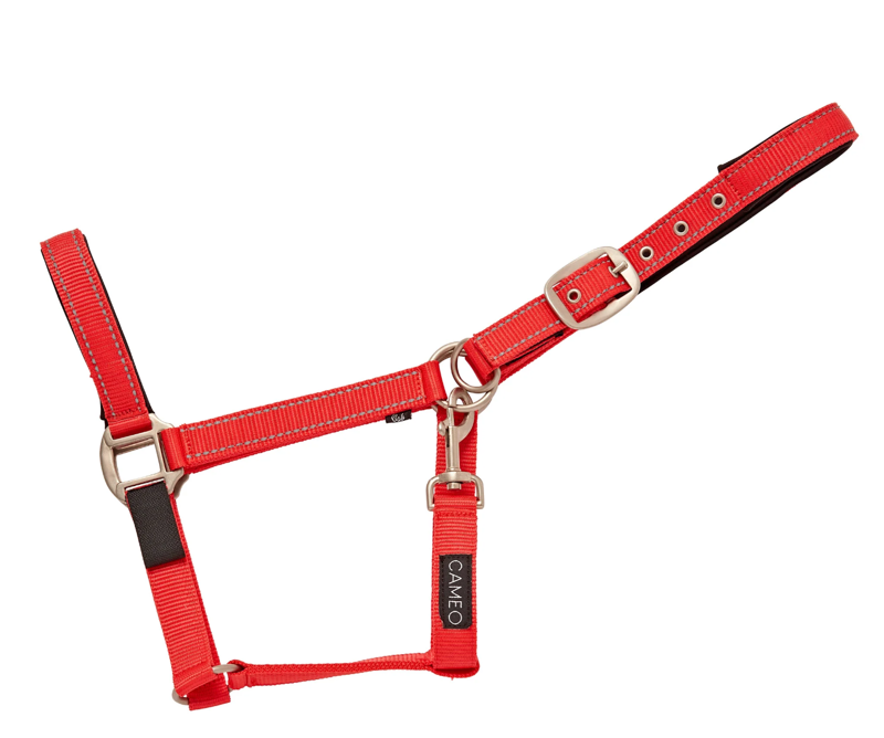 Cameo Fieldsafe Headcollar - Reflective - Red