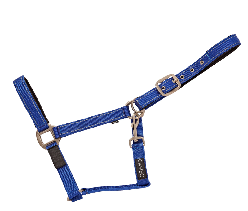 Cameo Fieldsafe Headcollar - Reflective - Royal