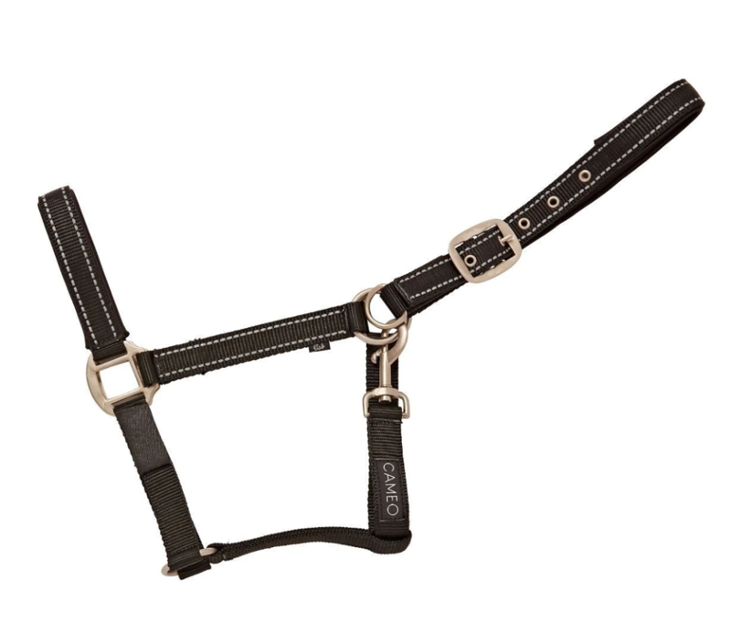 Cameo Fieldsafe Headcollar - Reflective - Black