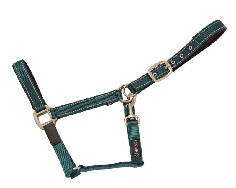 Cameo Fieldsafe Headcollar - Reflective - Hunter Green