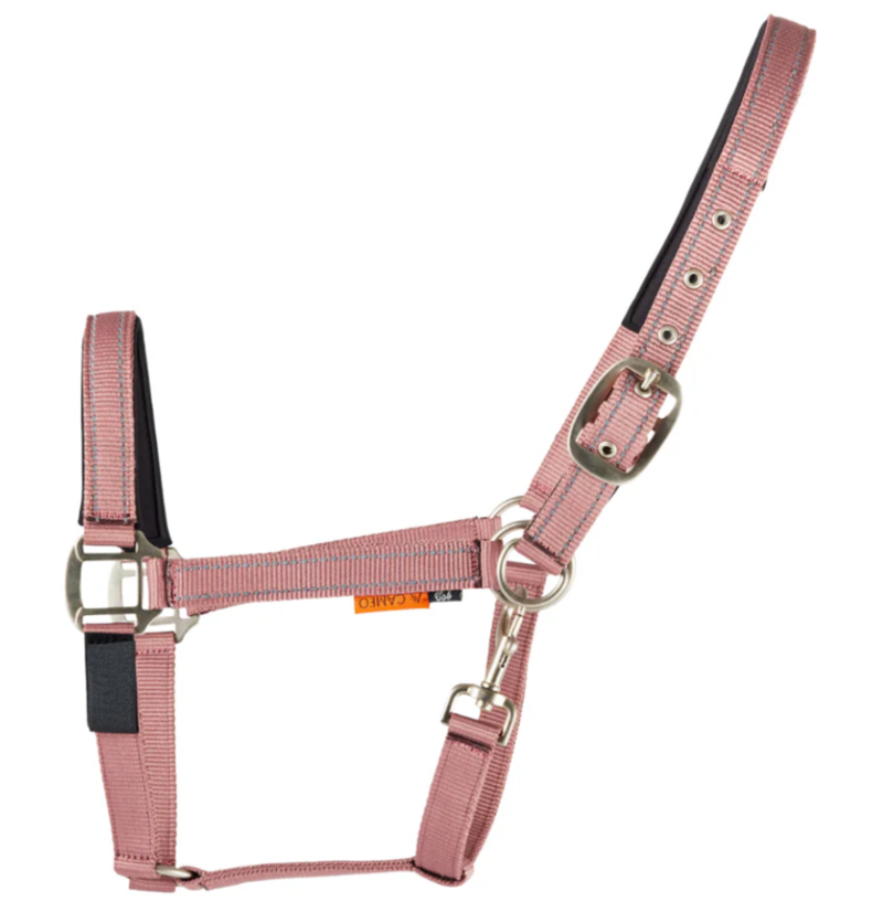 Cameo Fieldsafe Headcollar - Reflective - Dusky Pink