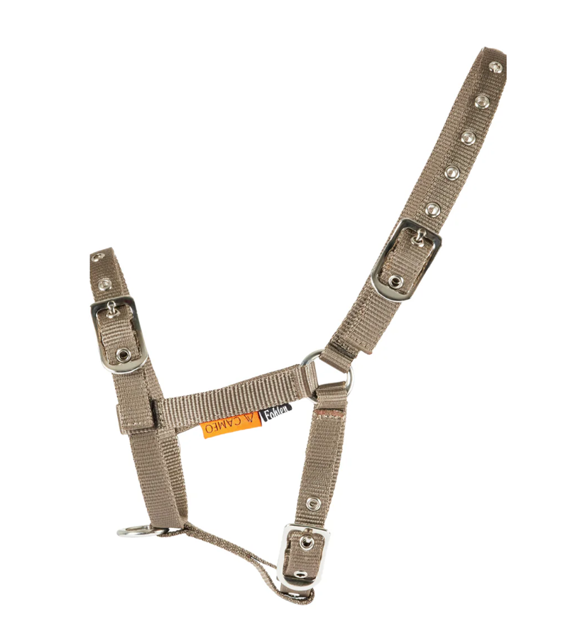 Cameo Foal Headcollar - Mocha