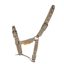 Cameo Foal Headcollar - Mocha