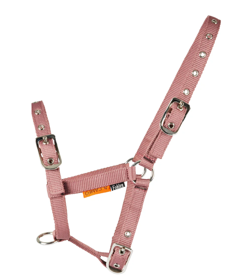 Cameo Foal Headcollar - Dusky Pink