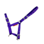 Cameo Foal Headcollar - Purple