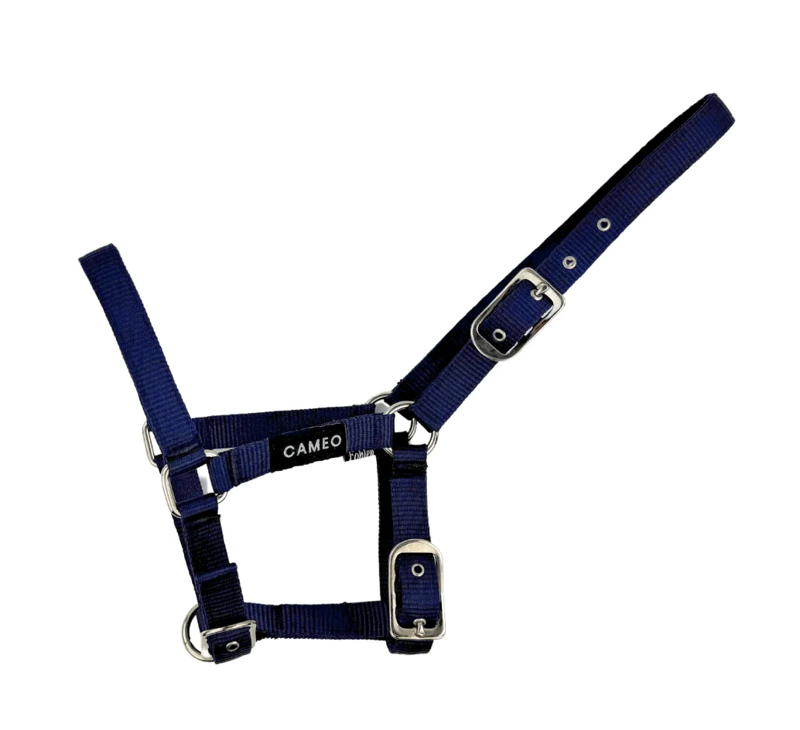 Cameo Foal Headcollar - Navy