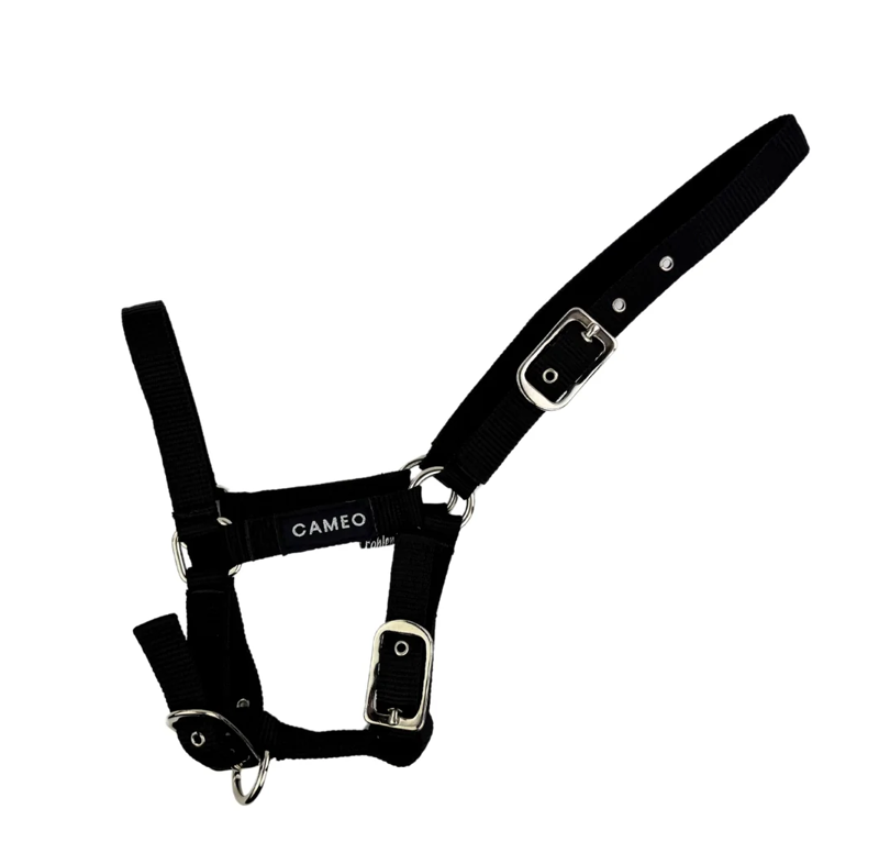 Cameo Foal Headcollar - Black