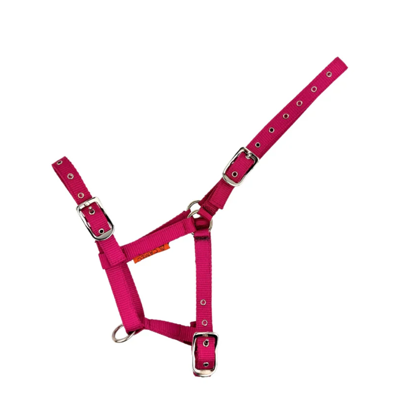Cameo Foal Headcollar - Hot Pink