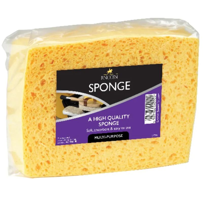 Lincoln Sponge 