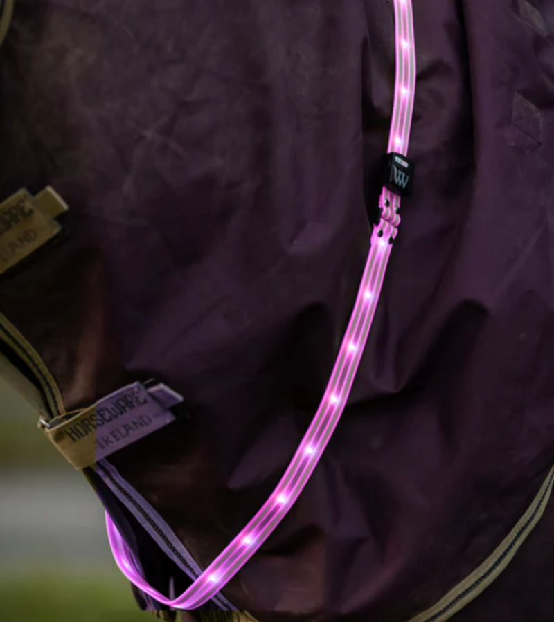 Woof Wear LED Sash - Hi Vis Pink Medium