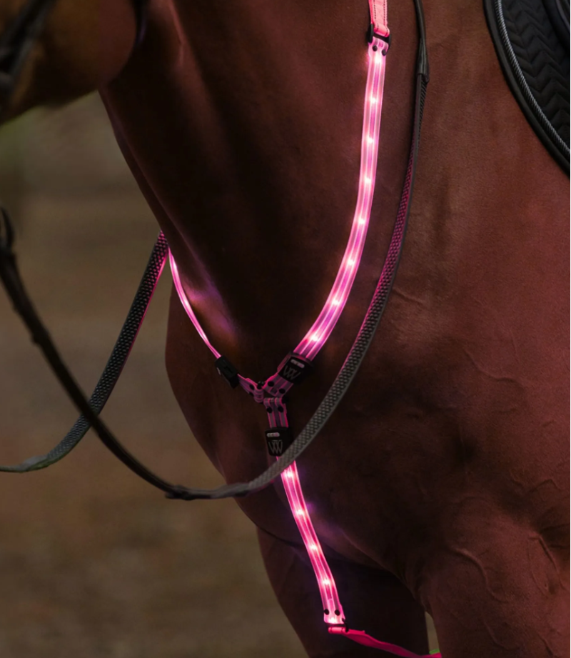 Woof Wear LED Neck Band - Hi Vis Pink Medium/Large