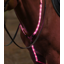 Woof Wear LED Neck Band - Hi Vis Pink Medium/Large