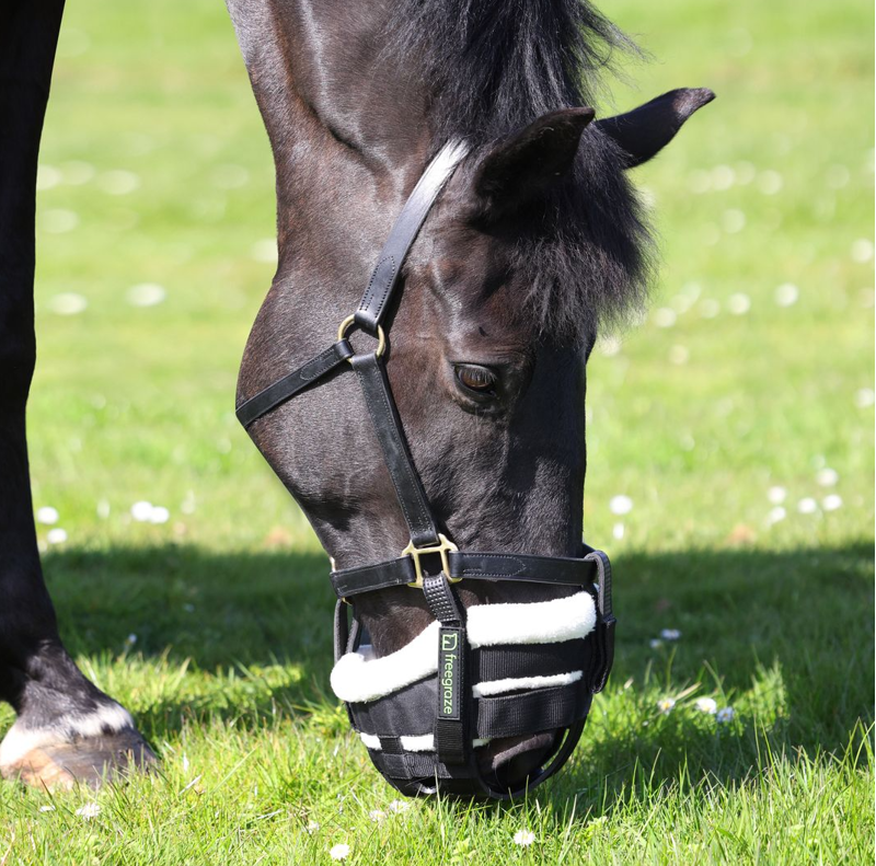Shires FreeGraze Detachable Grazing Muzzle - Black-3